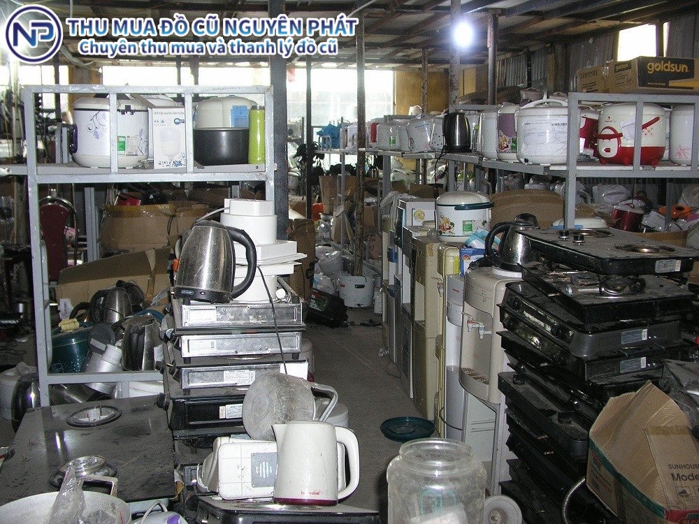 nhqa1